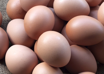 Eggs isolated on white background.