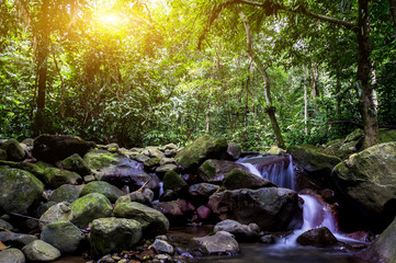 Landscape photo of beautiful waterfall in rainforest during sunrise at Selangor, Malaysia