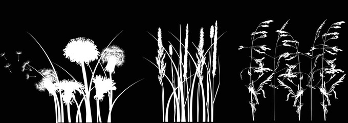 white grass silhouettes isolated on black