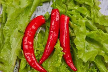 Salad and chile pepper on rustic table