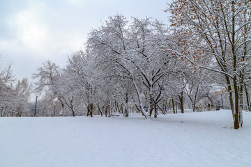 городской парк зимой