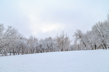 городской парк зимой