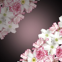Beautiful floral background of daffodils and carnations 