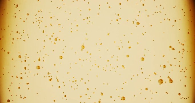 champagne golden bubbles inside a flute, gold background effect, holiday concept