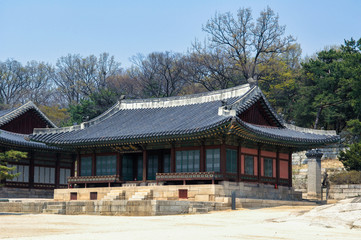 Fototapeta na wymiar Spring of Changgyeong Palace