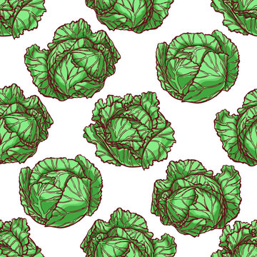 seamless colorful cabbage