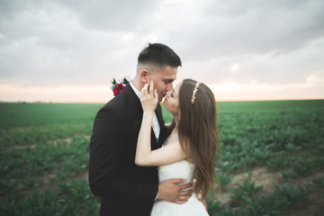 Beautiful wedding couple, love on the sunset. Fielf with flowers