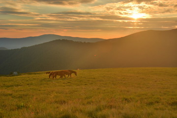 beautiful sunset in the mountains