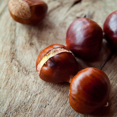 Chestnuts for Christmas