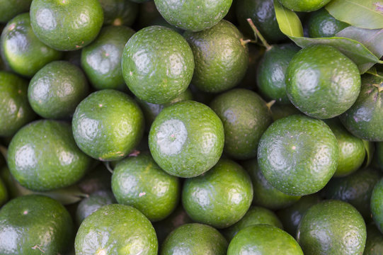Fresh dark green Mandarin limes piled in a market in a Turkish village