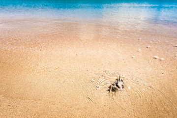 Beach, crab, landscape. Okinawa, Japan, Asia.
