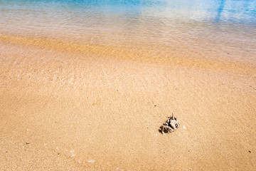 Crab, beach, landscape. Okinawa, Japan, Asia.