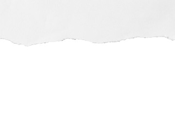 Piece of torn paper, space for copy