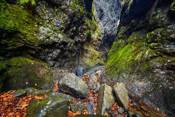 Canyon in mountains