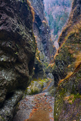 Fototapeta premium Canyon in mountains
