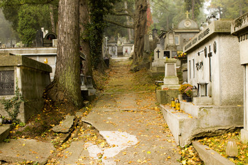 Old graves and fog. The main cemetery in Przemysl, Poland. The main municipal cemetery - founded...