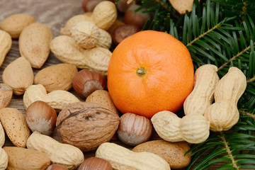 Tannen, Nüsse und Mandarinen auf Holz 