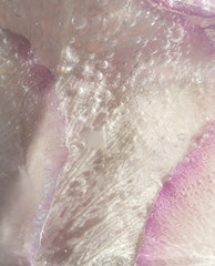 frozen flora art background