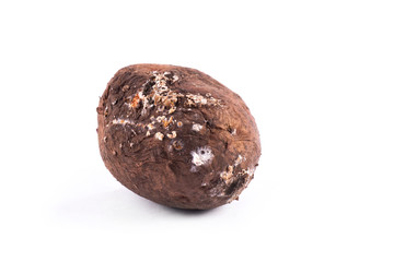 Photo spoiled potatoes. Bad products