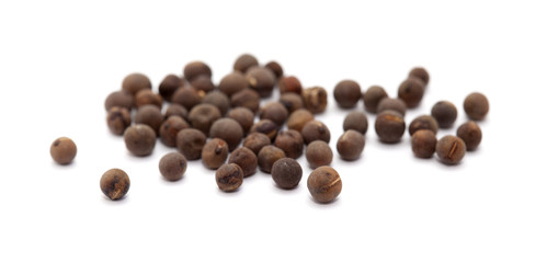 sweet pea seeds