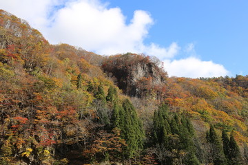 Obraz premium 紅葉の大地