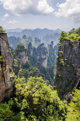 Sandstone columns in Zhangjiajie national park, China