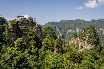 Sandstone columns in Zhangjiajie national park, China