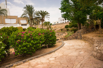Fototapeta premium Stone footpath through the yard with palm trees