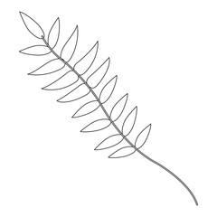 Leaf icon. Decoration rustic garden floral nature plant and spring theme. Isolated design. Vector illustration