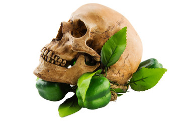 Still life art of human skull concept with Halloween