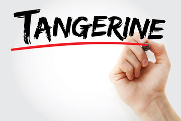 Hand writing Tangerine with marker, concept background