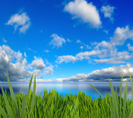 Obraz premium image of rural landscape close-up