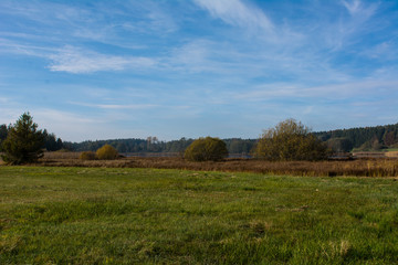 Fototapeta na wymiar Feuchtwiesen am Moorrand