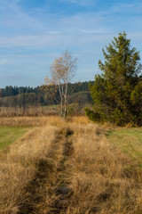 Moorgebiet in Süddeutschland