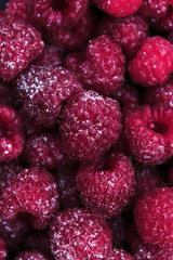raspberry, sweet, berries