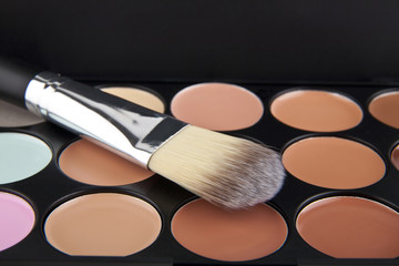 Professional makeup brushes and cosmetics