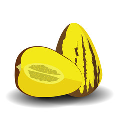 Obraz premium Fruit pepino on White Background