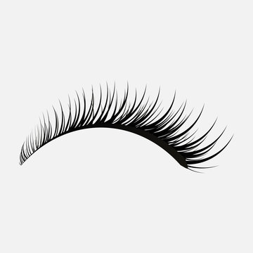 eyelashes icon on a gray background Stock Vector | Adobe Stock
