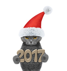 Cute santa cat with 2017 new year numbers