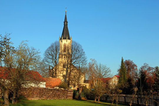 „Baumkirche“ in Bärwalde bei Moritzburg in Sachsen