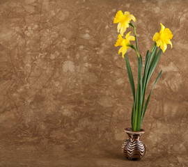 fresh spring flowers of daffodils