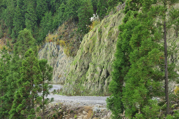 西日本の山、林道の紅葉・兵庫県多可郡多可町