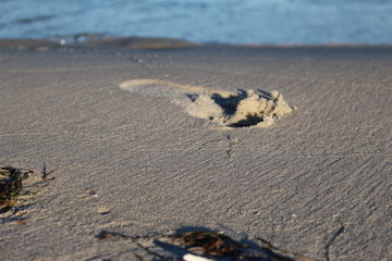 Abdruck im Sand