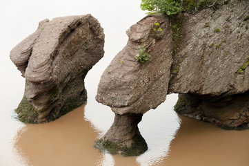 Hopewell Rocks - New Brunswick - Canada