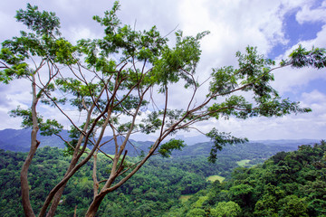 A view of the valley in the city of Kandy. Sri Lanka.