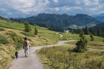 Fototapeta na wymiar Alpenwanderung
