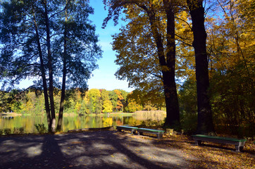 volkspark jungfernheide