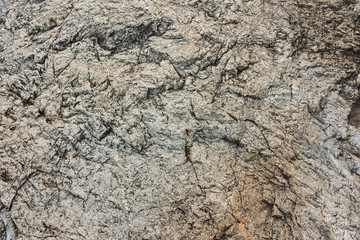 granite rock texture with dry leaf