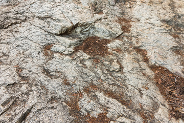 granite rock texture with dry leaf