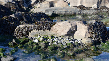 Felsen bei Ebbe am der Küste vor Doolin